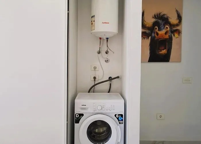 Spring Apartamento *